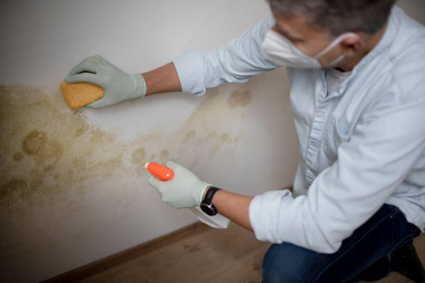 Certified Mold Removal in Lebanon, TN